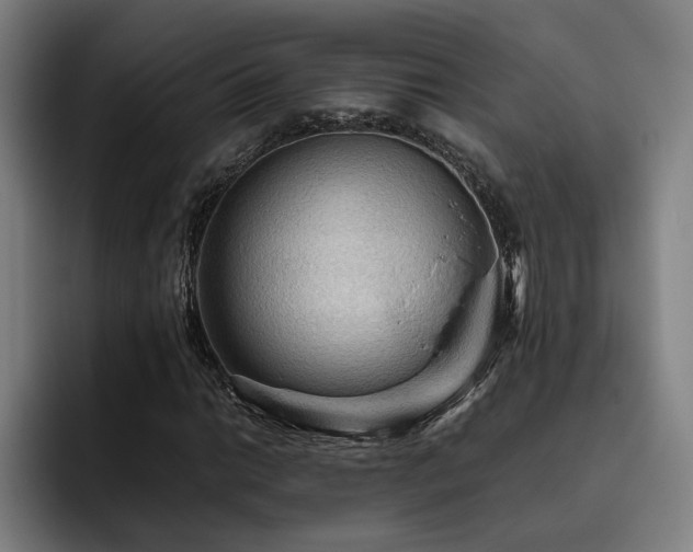 X0000093511014200710121527
