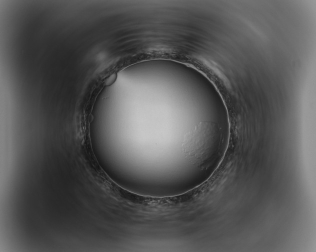 X0000093511015200710121527