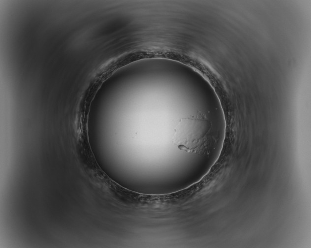 X0000093511016200710121527