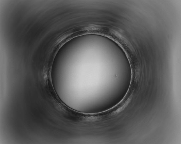 X0000093511017200710121527
