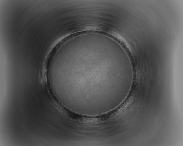 X0000093511019200710121528