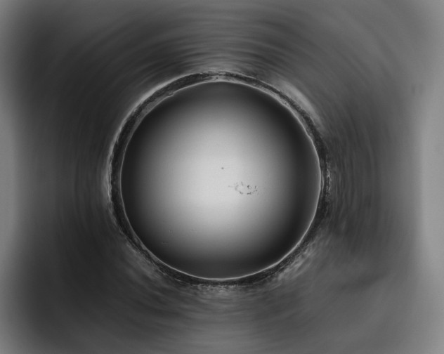 X0000093511020200710121528