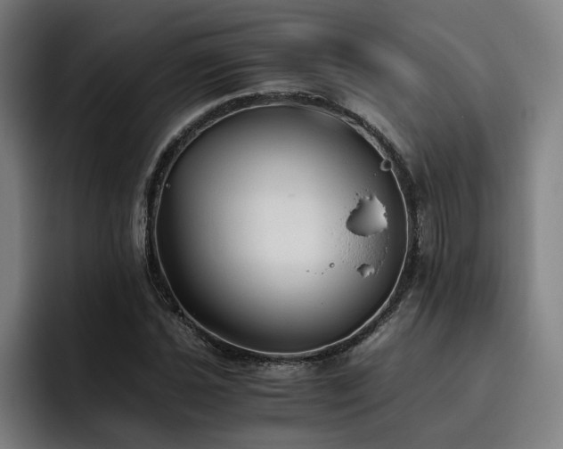 X0000093511021200710121528