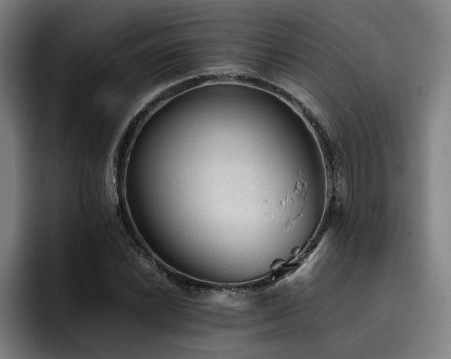 X0000093511022200710121528