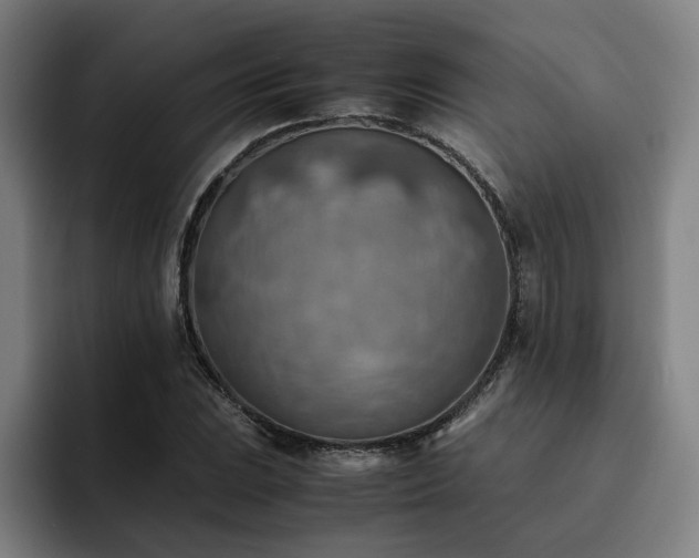 X0000093511023200710121528