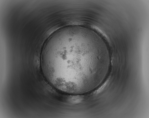 X0000093511025200710121528