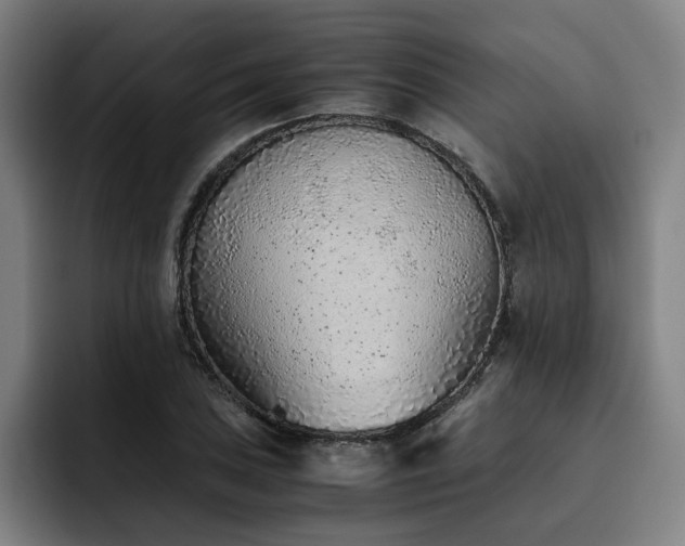 X0000093511027200710121528
