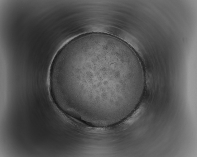X0000093511028200710121528