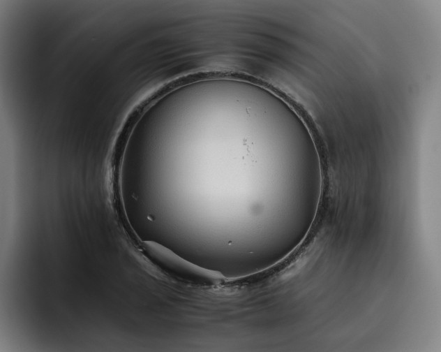 X0000093511029200710121528
