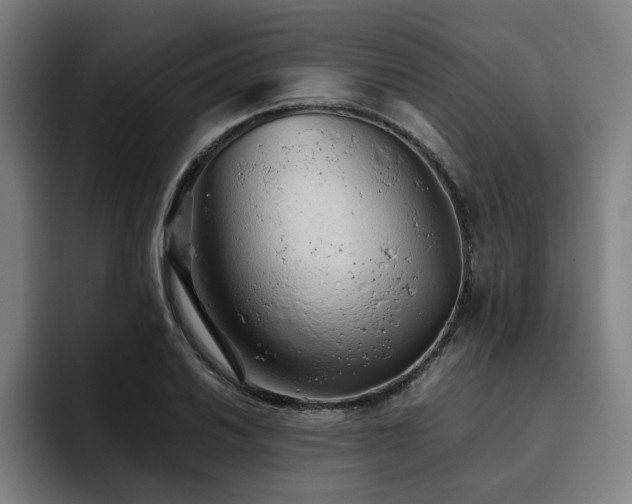 X0000093511030200710121528