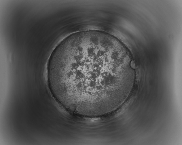 X0000093511031200710121528