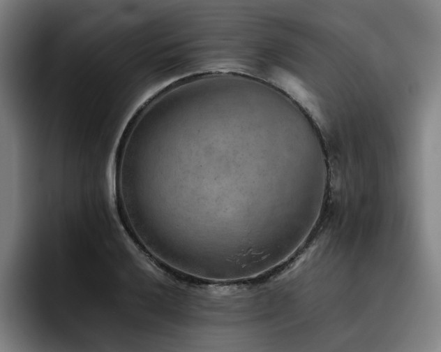 X0000093511032200710121528