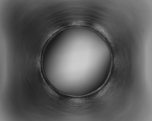 X0000093511033200710121528