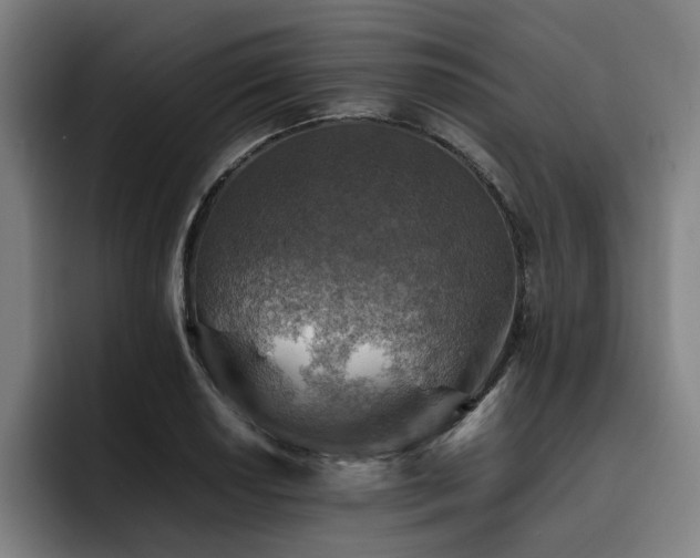 X0000093511034200710121528