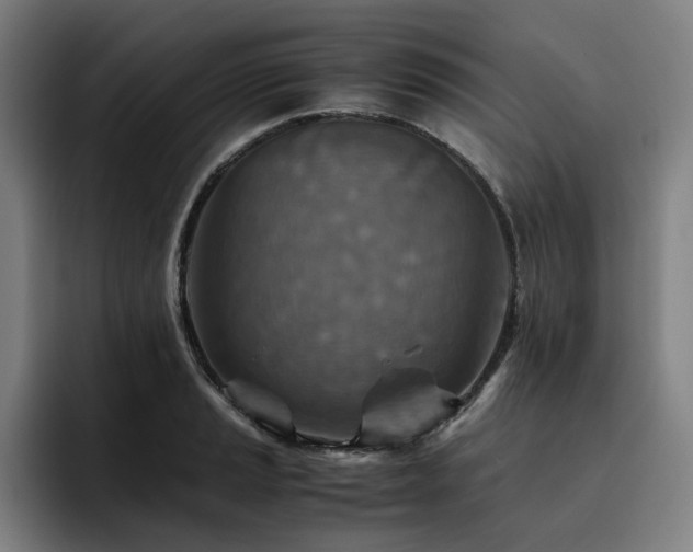 X0000093511037200710121528