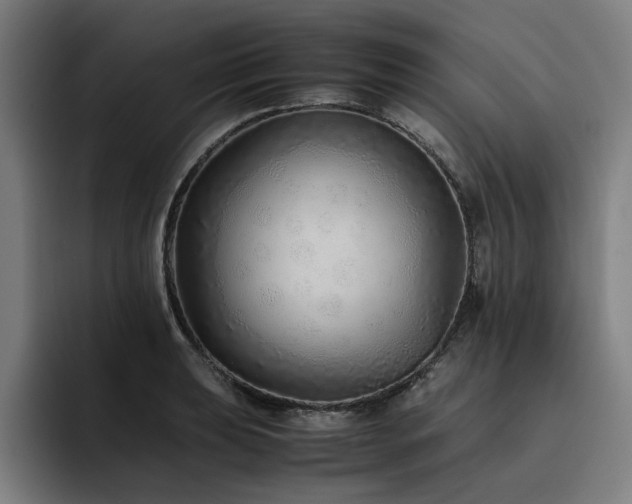 X0000093511039200710121528