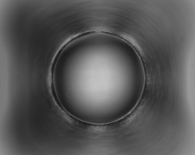 X0000093511040200710121528