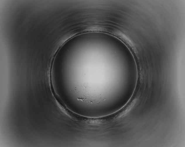 X0000093511041200710121528