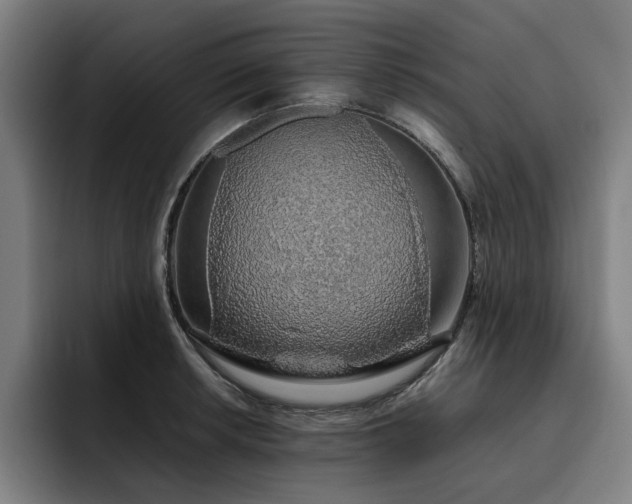 X0000093511042200710121528