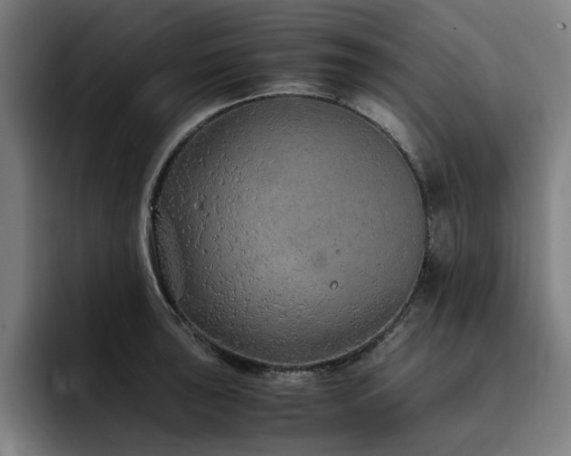 X0000093511043200710121528