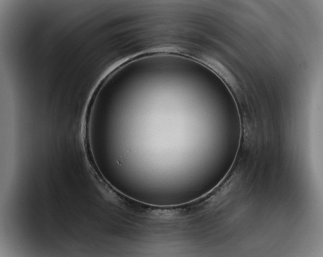 X0000093511044200710121528