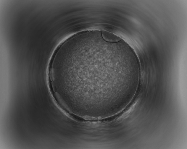 X0000093511045200710121528