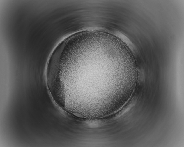X0000093511046200710121528