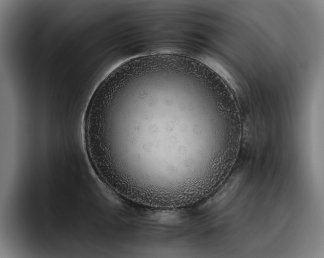 X0000093511047200710121528
