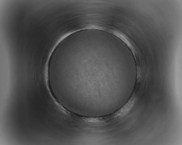X0000093511048200710121528