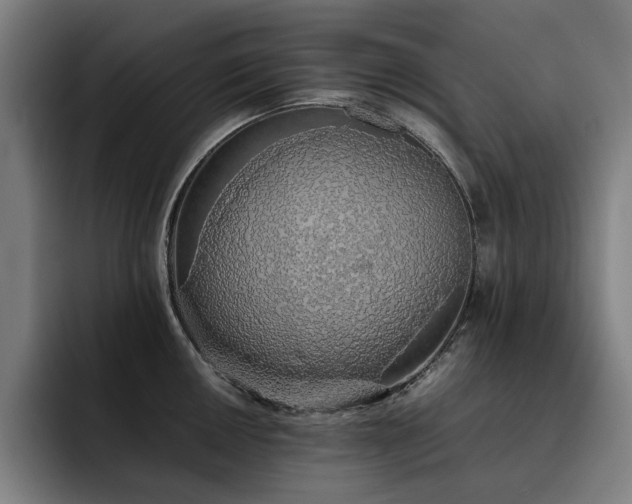 X0000093511050200710121528