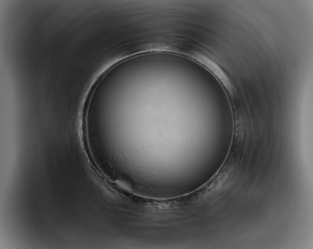 X0000093511051200710121528