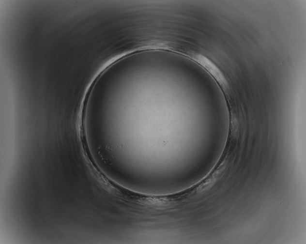 X0000093511052200710121528