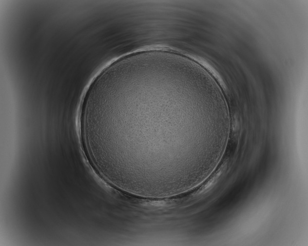 X0000093511054200710121528