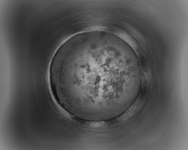 X0000093511055200710121528
