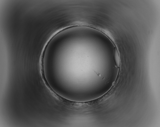 X0000093511056200710121528