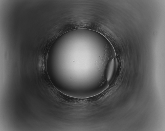 X0000093511058200710121527