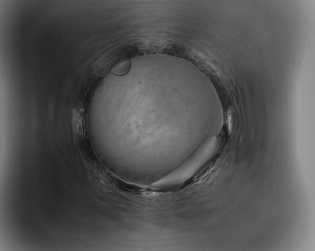 X0000093511059200710121527