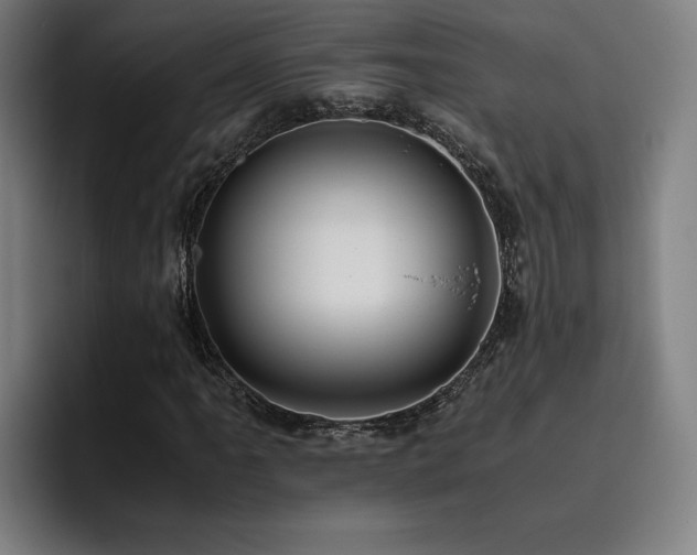 X0000093511061200710121527