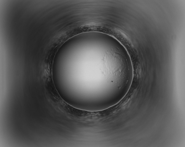 X0000093511062200710121527