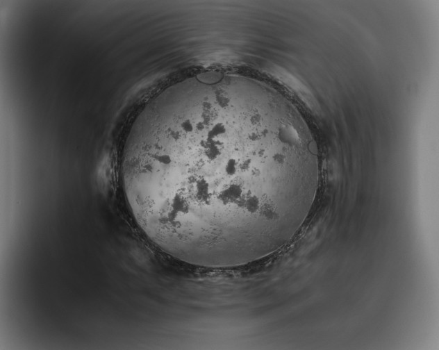 X0000093511063200710121527