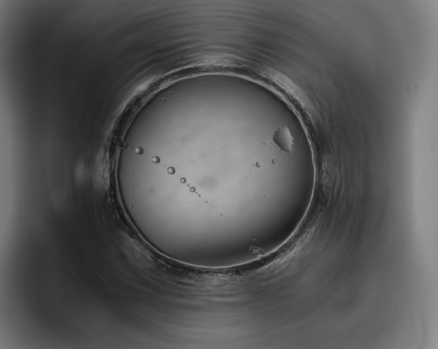 X0000093511067200710121527