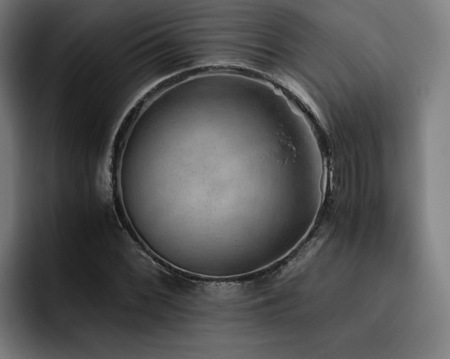 X0000093511068200710121527