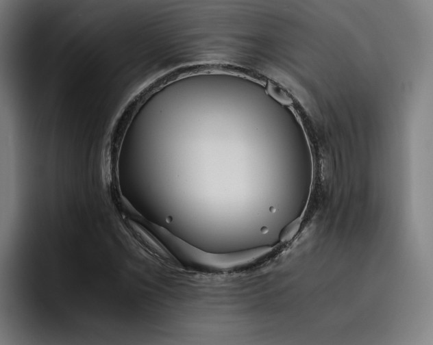 X0000093511069200710121527