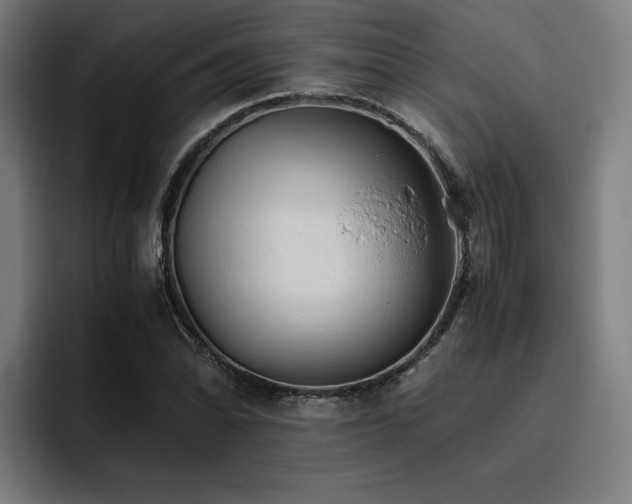X0000093511070200710121527