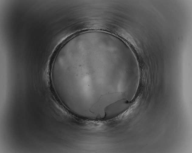 X0000093511071200710121527