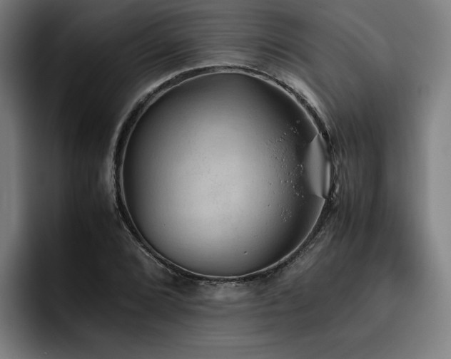 X0000093511072200710121527