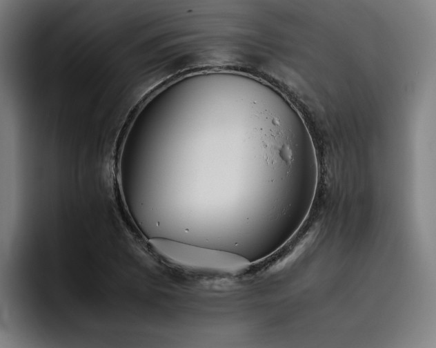 X0000093511073200710121527