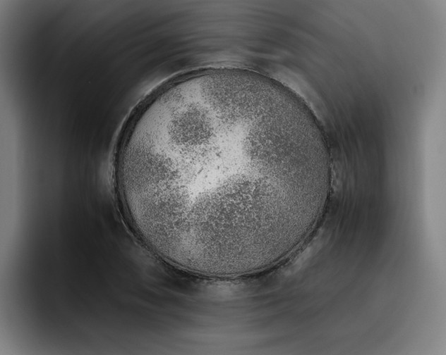 X0000093511074200710121527
