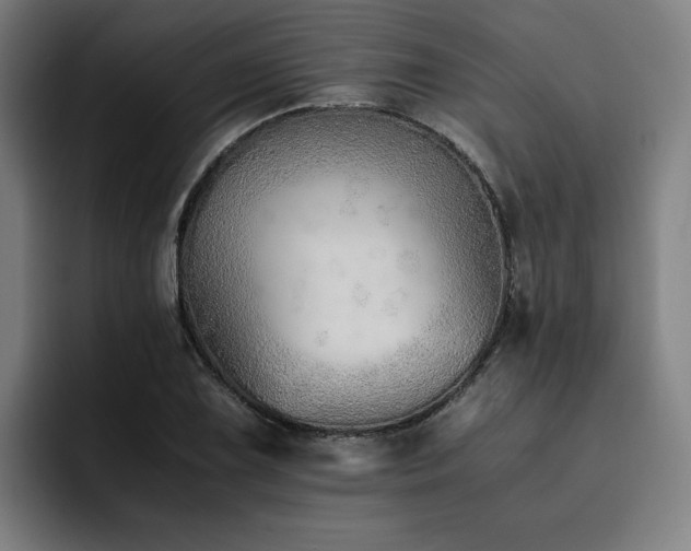 X0000093511075200710121527