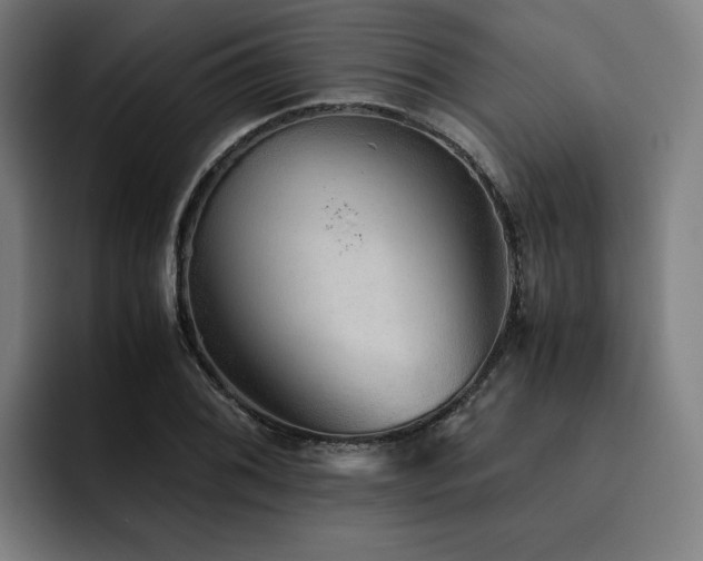 X0000093511076200710121527